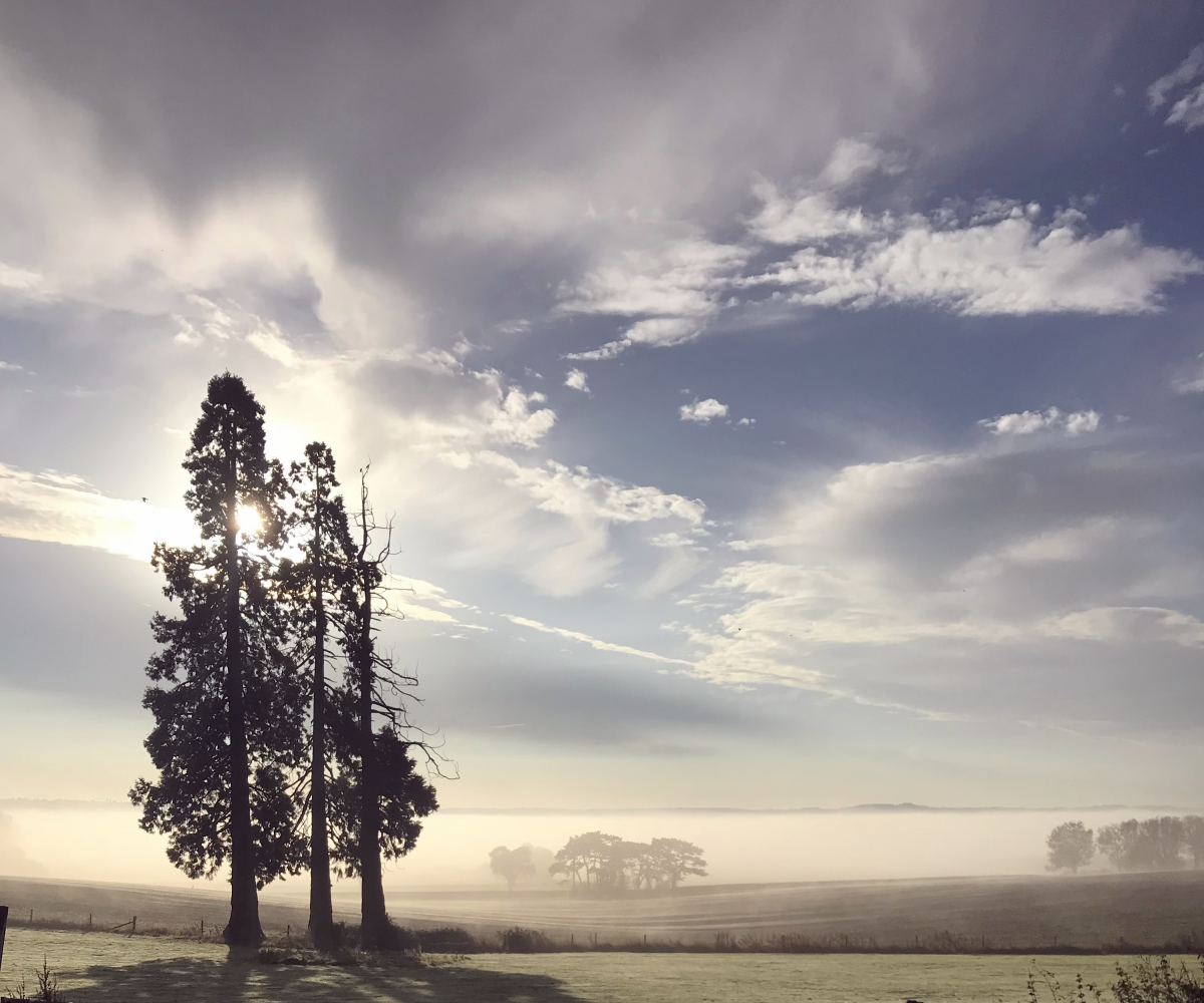 Arboriculture