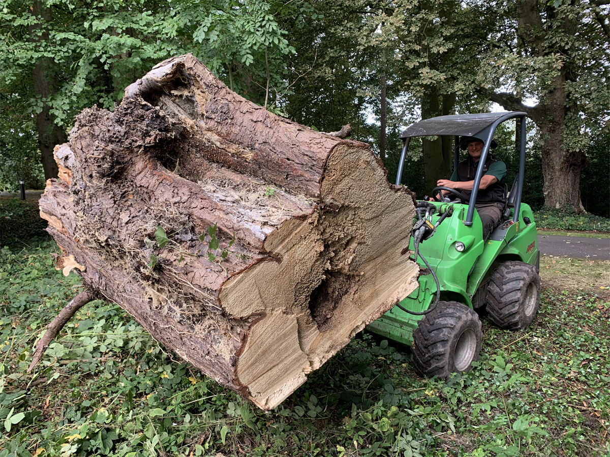 Stump Grinding
